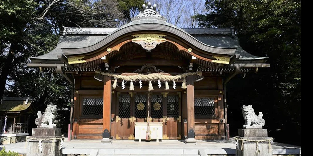 若宮八幡 京都 七五三